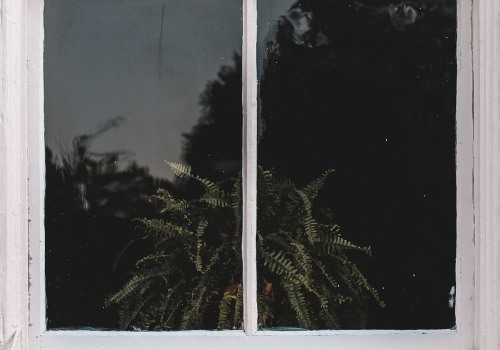 Enhance Your Home with Glass Services in Pascagoula